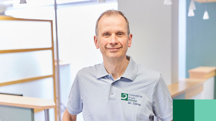 Dr. Andreas Eißing, Tierarzt Tieraerztliche Praxis Peheim