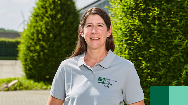 Anja Fischer, Tiermedizinische Fachangestellte Tieraerztliche Praxis Peheim